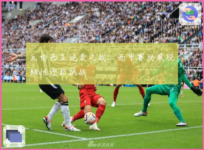 瓦伦西亚逆袭之战：西甲赛场展现韧性迎新挑战