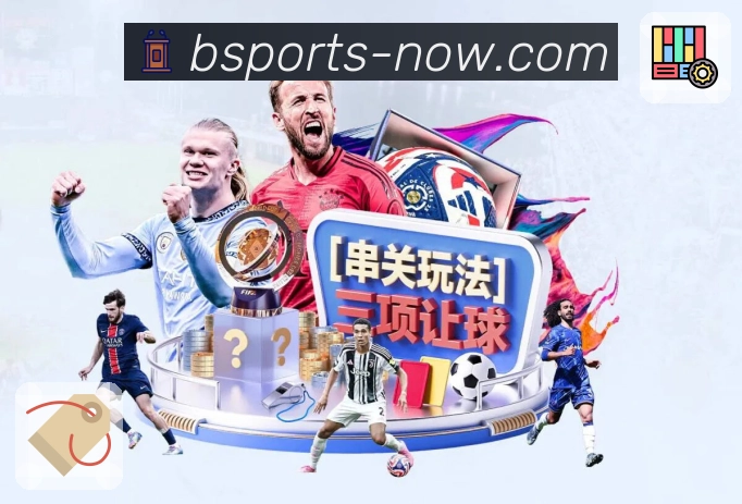 <strong>B体育</strong>体育平台团队与服务场景